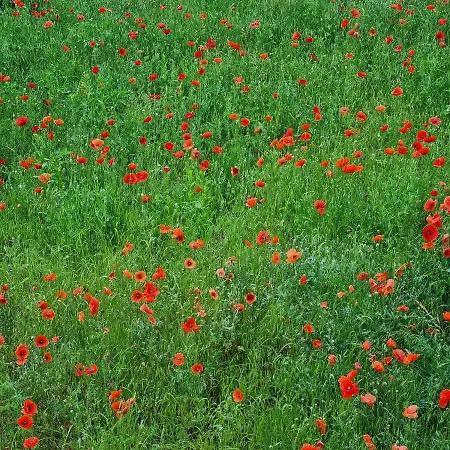 Maso Kreuzberg Gasthof 3*